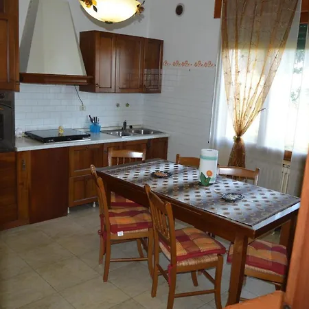 Cedro Venice *